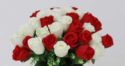 十一朵玫瑰的花语（纪念、热恋、忠诚、祝福、赞美、感恩、浪漫、心意）