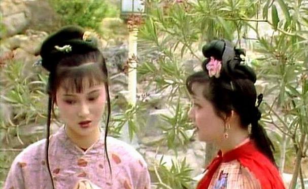 探春的过冬之道（保暖、营养、娱乐三管齐下）