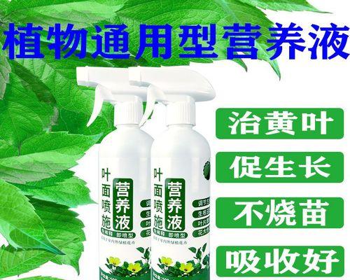 花卉叶面肥的正确使用方法（让您的花卉更加健康茁壮）