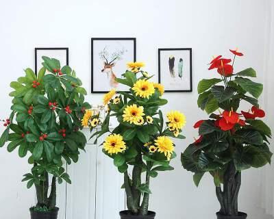 室内盆栽花卉种类大全（让你的居室充满生机的10种室内盆栽花卉）