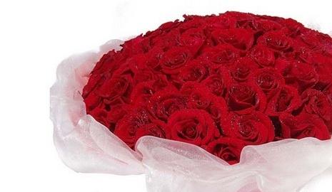 爱意之语——18朵玫瑰的花语