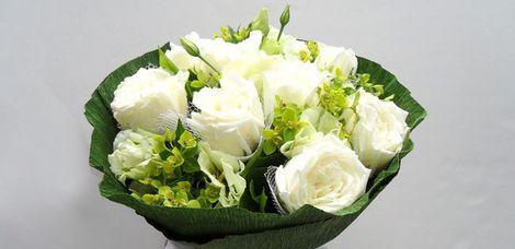 白色紫罗兰花语（寓意深刻的花朵——紫罗兰）