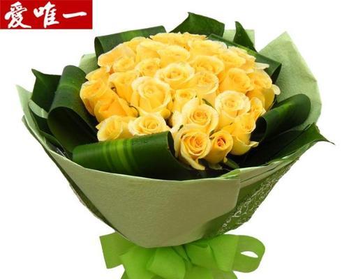 黄玫瑰花的花语与含义（探究黄玫瑰的美丽与意义）