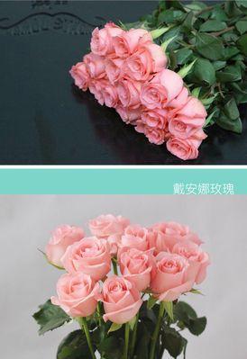 粉色玫瑰花语（探寻粉色玫瑰的诗意与浪漫）