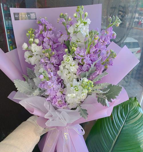 白色紫罗兰的花语（寓意优雅高贵，传递爱与祝福）