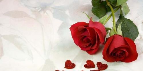 解读一朵玫瑰花的花语（揭示玫瑰花的情感象征，领悟花语中的情感故事）
