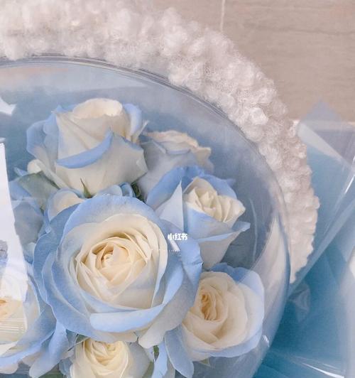 碎冰蓝玫瑰的花语和寓意（传达爱意和坚韧精神的花卉——碎冰蓝玫瑰）