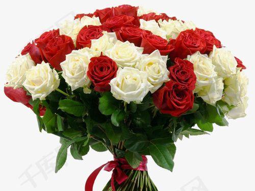 玫瑰花的花语与代表意义（白玫瑰红玫瑰的区别与含义）