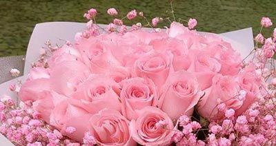 十二朵玫瑰花的寓意与象征——传递真挚的情感（十二朵玫瑰花的秘密——从颜色到数量代表的含义揭秘）