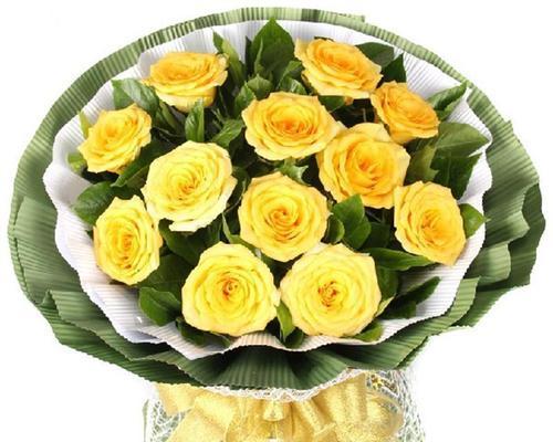 两朵黄玫瑰的象征意义（探究黄玫瑰代表的含义与涵义）