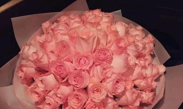 戴安娜玫瑰的花语——爱情的象征（浪漫的花语语言，传递爱情的真谛）