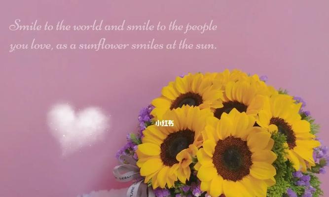 太阳花——唯美的花语（探寻太阳花背后深层含义，解读生命之美）