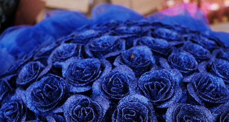 蓝色玫瑰花的含义（探究蓝色玫瑰花所代表的情感和象征）