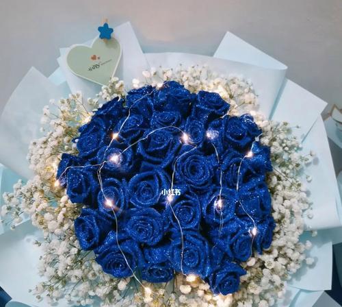 蓝色玫瑰的花语（解读蓝色玫瑰的含义与象征）
