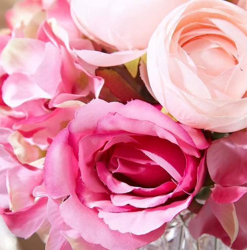 19朵粉色玫瑰的代表意义（探寻粉色玫瑰的花语和象征）