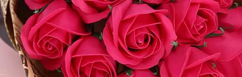 18朵玫瑰的花语与寓意（用花语传递情感，了解18朵玫瑰的深刻含义）