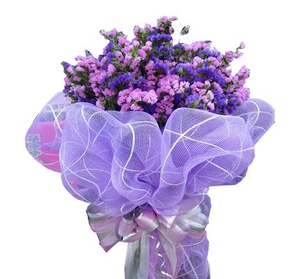 紫色马蹄莲花语（探寻紫色马蹄莲的内涵与价值）