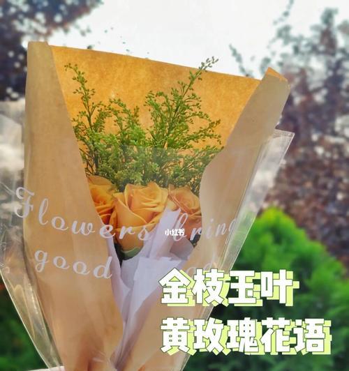 黄玫瑰花语的深层含义（探寻黄玫瑰的神秘花语）