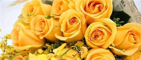 橙色玫瑰花语——爱情的温暖之光（探寻橙色玫瑰的含义和象征，了解它在爱情中的作用与意义）