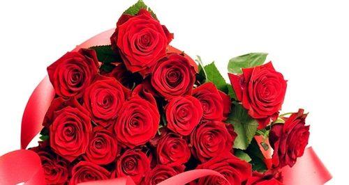 19朵玫瑰的花语（玫瑰的寓意和传递爱情的含义）