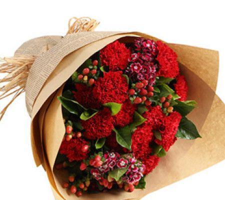 红色康乃馨的花语和寓意（表达热情和爱意的象征）