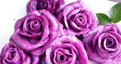 紫玫瑰花语的寓意与象征（探究紫玫瑰的奥秘）