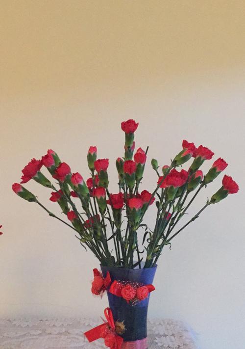 红色康乃馨的花语（热情、爱情、敬意、忠诚的象征）