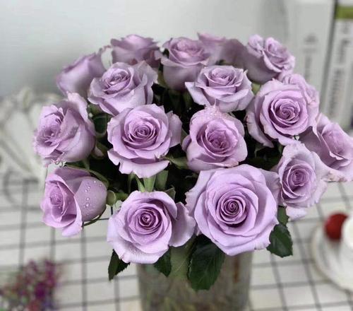 紫色玫瑰的花语和象征（解读紫色玫瑰所蕴含的深刻寓意）