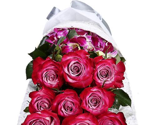 送9朵玫瑰的含义与心理学分析（一束花蕴含的情感密码，9朵玫瑰传递的信息是什么？）