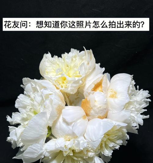 揭秘鲜切花，与你分享浪漫生活之道（看懂鲜切花，浪漫生活从此开始）