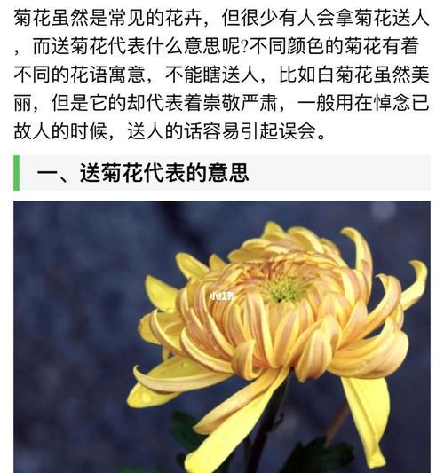 菊花的花语（探寻菊花背后的意义）