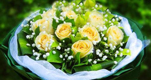 11朵黄玫瑰的花语意思（揭示黄玫瑰蕴含的11种情感与意义）