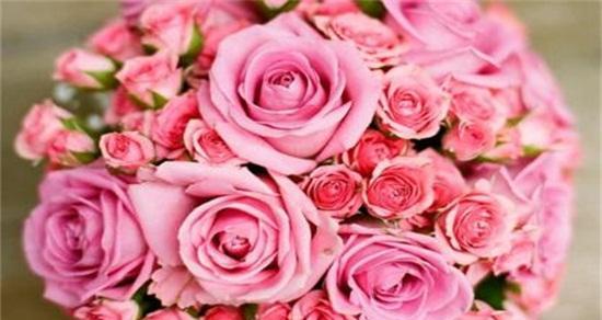 探寻11朵粉色玫瑰的花语（解读花海中的爱情密码，领略自然之美）