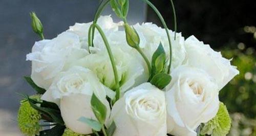 白色玫瑰的含义与象征（纯洁、真诚、祝福的代表）
