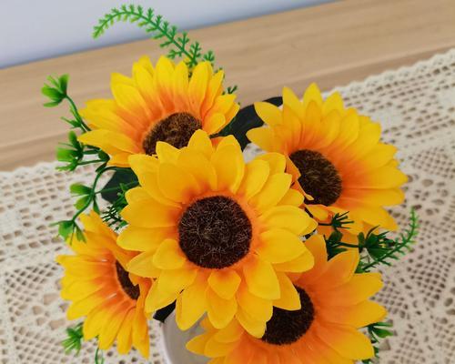 小太阳花的花语——传递温暖与坚持（阳光、勇气、坚韧、感恩）