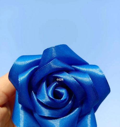 蓝色玫瑰花的意义（探寻蓝色玫瑰花所代表的象征意义）