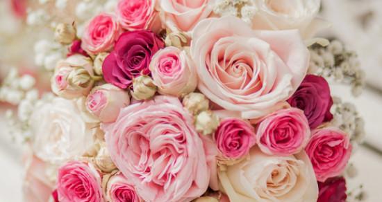 十一朵粉色玫瑰的花语（传达柔情蜜意，表达浓浓爱意）