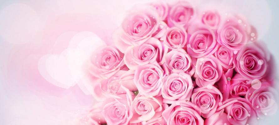 粉色玫瑰的含义（探寻粉色玫瑰背后的情感和象征）