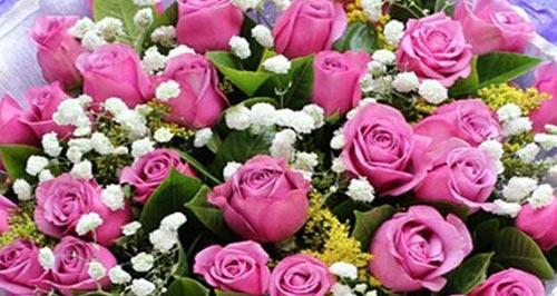 解密玫瑰花语——花开花落，情在其中（玫瑰花的代表意义及不同颜色所代表的含义）