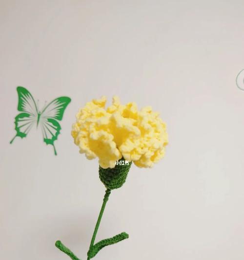 一朵康乃馨的象征意义（探寻康乃馨的代表意义及其历史渊源）