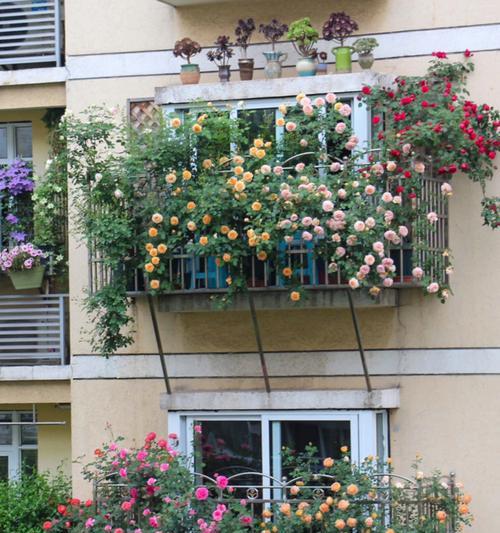 阳台花卉种植指南（打造美丽花园从阳台开始）