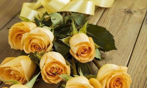 黄玫瑰的花语（了解黄玫瑰的含义和象征）