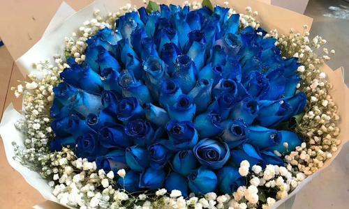 寓意深刻的蓝色玫瑰——探究其花语和象征意义（解析蓝色玫瑰的花语，领略神秘而优美的象征）