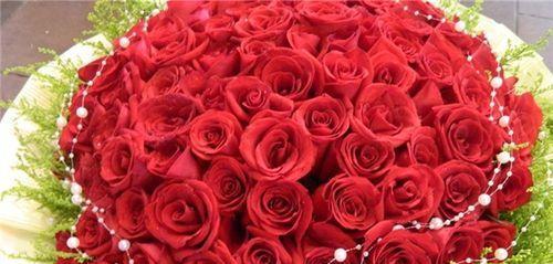 送九朵玫瑰花的寓意（传递爱意和祝福，展现真诚情感）
