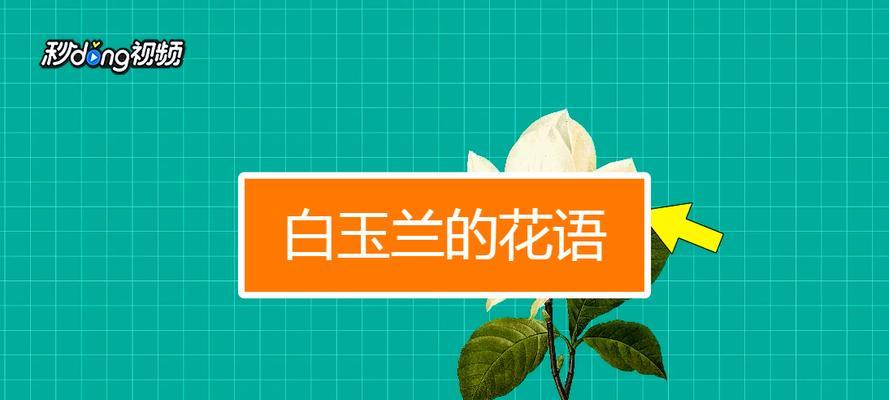 白兰花花语的意义和传说（探秘白兰花的象征意义和神话故事）