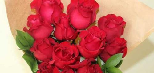 16朵玫瑰的花语与含义（探寻玫瑰的奥秘，用16朵玫瑰表达真情）