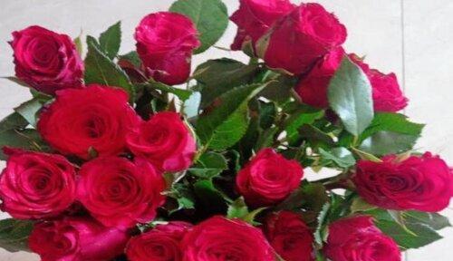 常见玫瑰花品种及其花语（了解不同品种玫瑰花的花语，传递不同的情感）