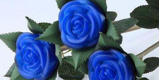 蓝玫瑰的象征意义（探究蓝玫瑰的花语和含义）
