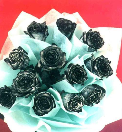 黑玫瑰花语（解读黑玫瑰花语的含义，教你如何选送花礼）