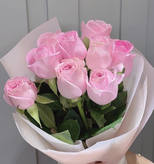 粉色玫瑰的代表意义（探究粉色玫瑰象征的爱情与友谊）